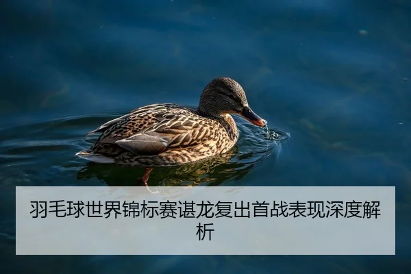 羽毛球世界锦标赛谌龙复出首战表现深度解析